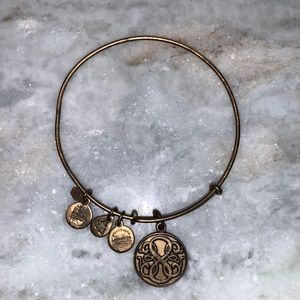 Alex and Ani bracelet